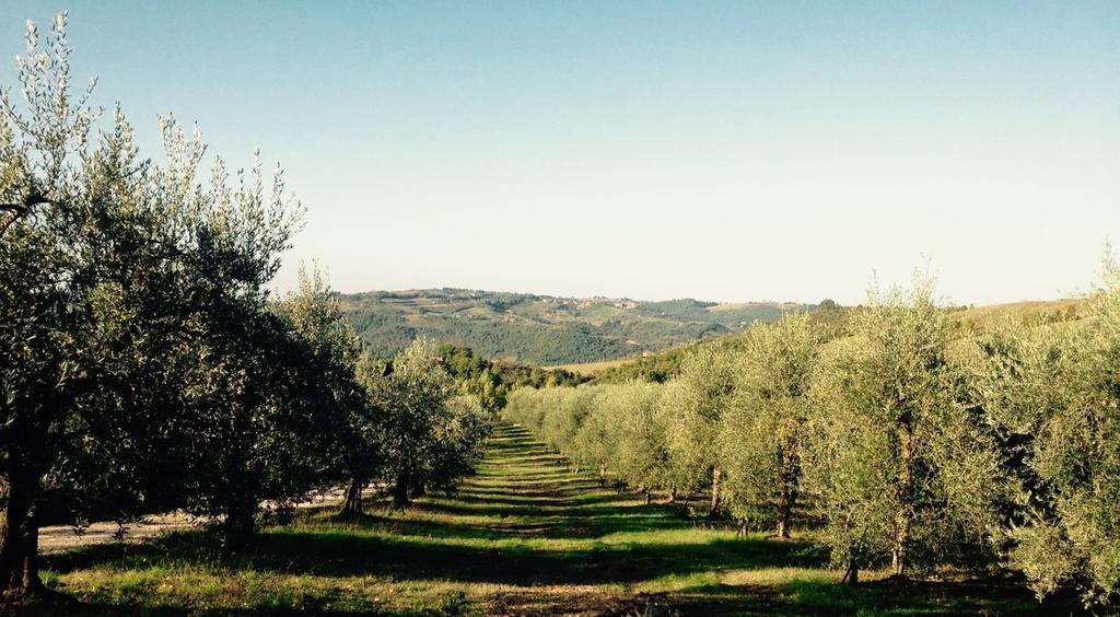 Villa Podere Le Corone Monte Castello di Vibio Exterior foto