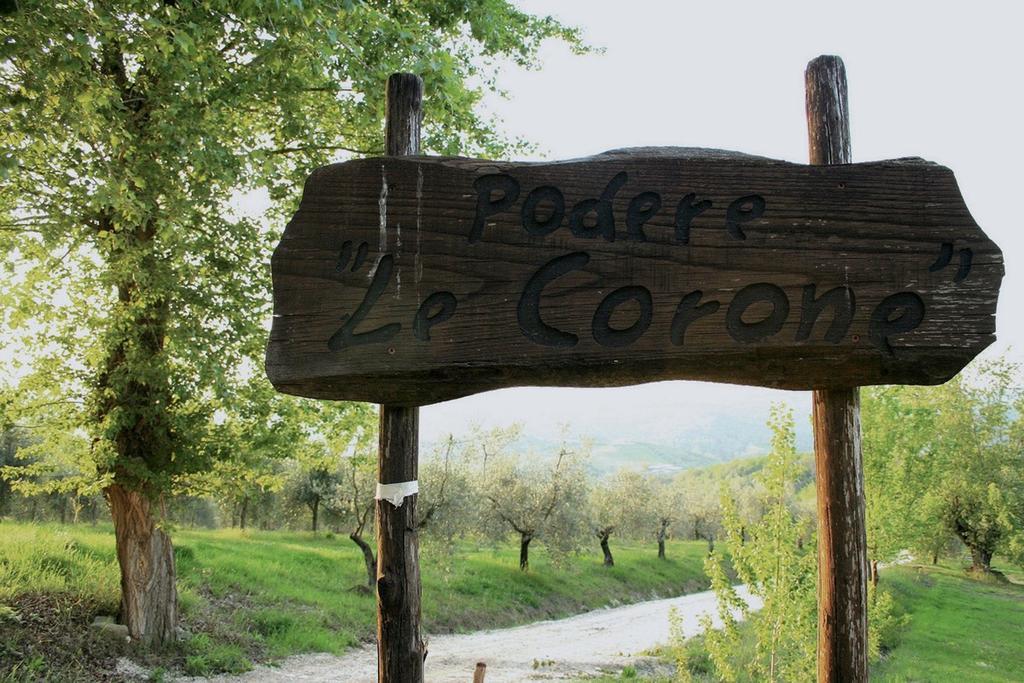 Villa Podere Le Corone Monte Castello di Vibio Exterior foto